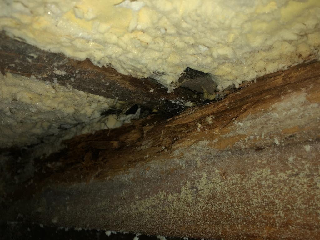 SPRAY FOAM REMOVAL NORTHAMPTONSHIRE