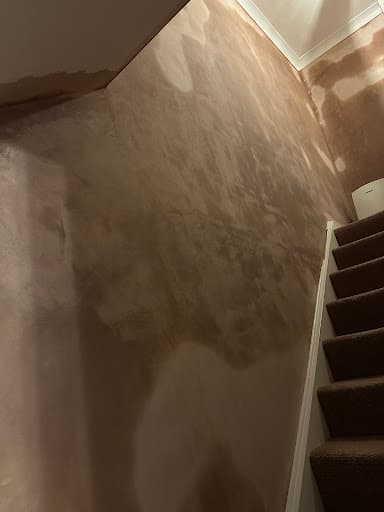 G.M Higgins Plastering & Screeding — Customer photo